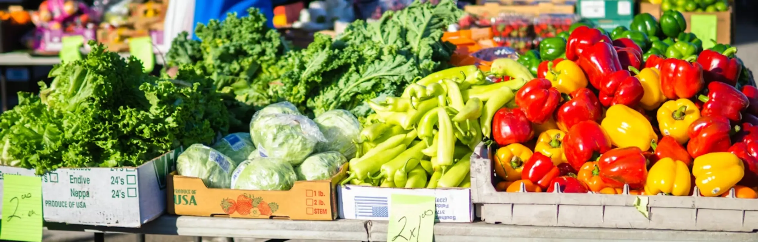 Cucina stagionale: perché scegliere ingredienti di stagione cambia il modo di cucinare